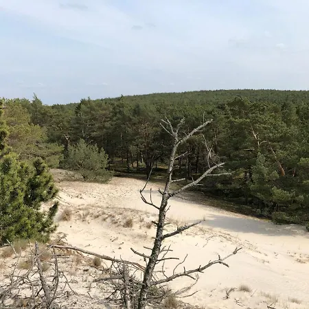 Hilltom By The Sea