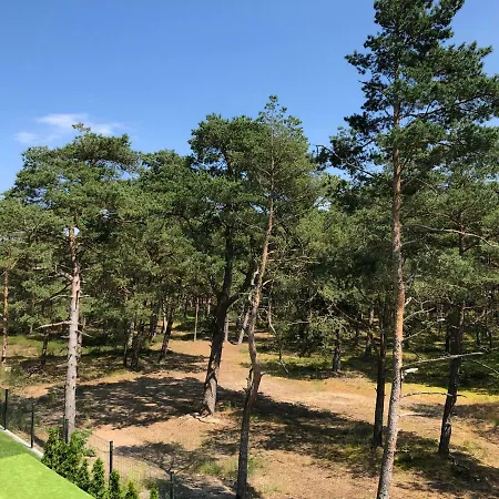 Daire Hilltom By The Sea *