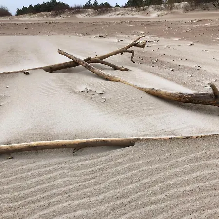 Hilltom By The Sea Daire