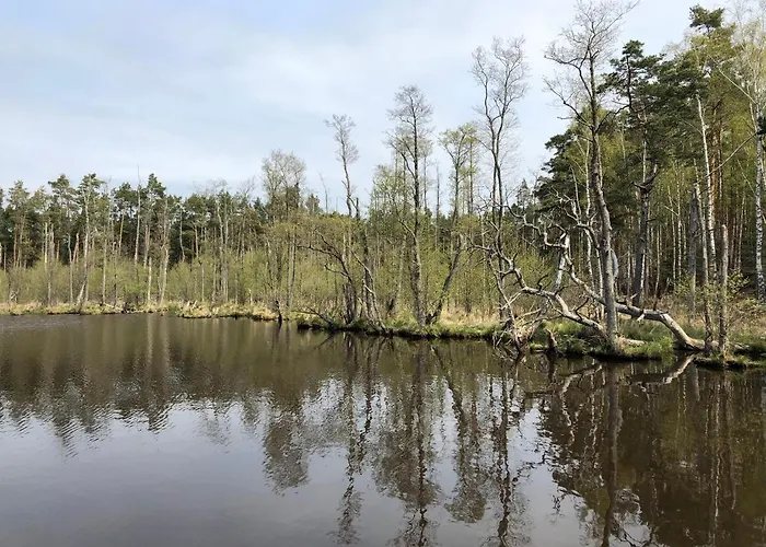 Hilltom By The Sea 아파트 로비