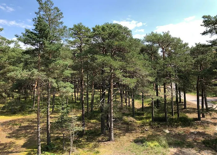 Hilltom By The Sea * Rowy (Pomerania)