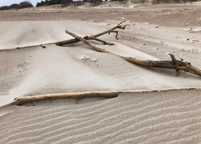 Hilltom By The Sea 아파트